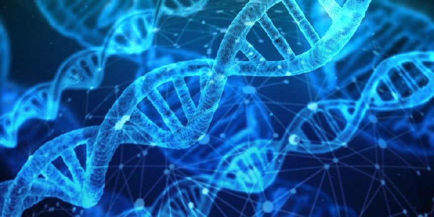 DNA Strang künstlerisch in Blau dargestellt.